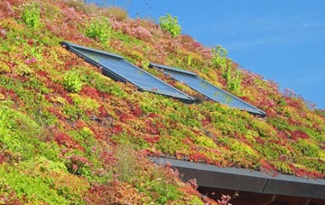 Ratcliffe On Soar living roof systems